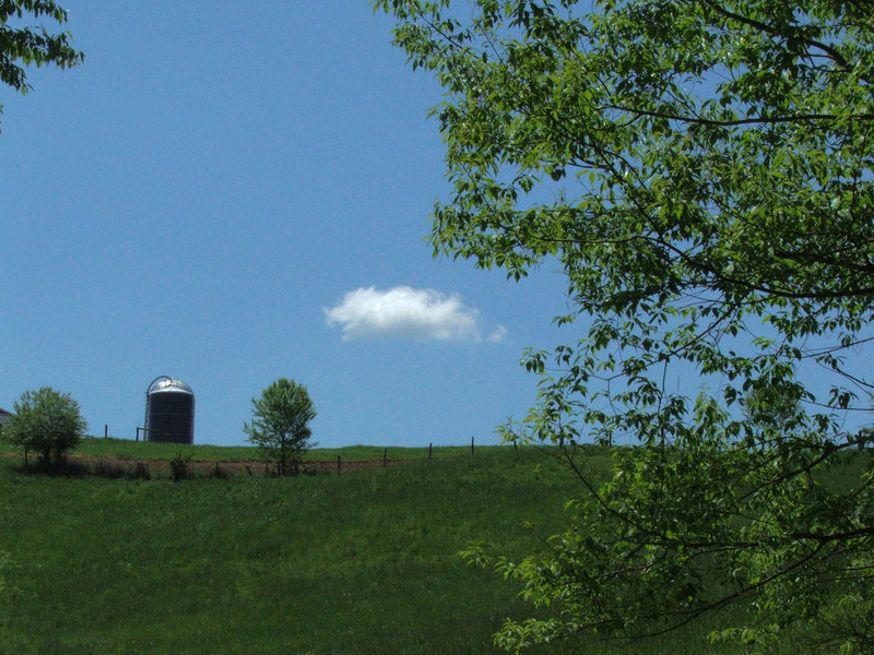 Lonely Cloud