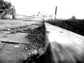 Wooden Walkway