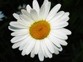 For Linda