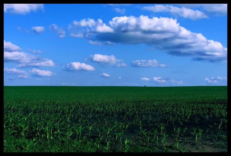 Midwest Landscape