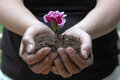 Grow Org.