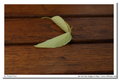 Pancolar 50mm f/1.8 MC
