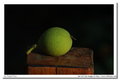 Kiron 28-210mm ultra zoom