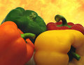 Colorful Peppers II