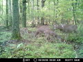 MDGC0144.JPG