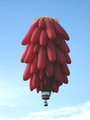 Chili Balloon