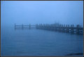 Foggy Wharf