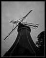 Winter Windmill