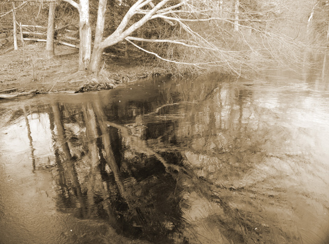 Reflections on Ice