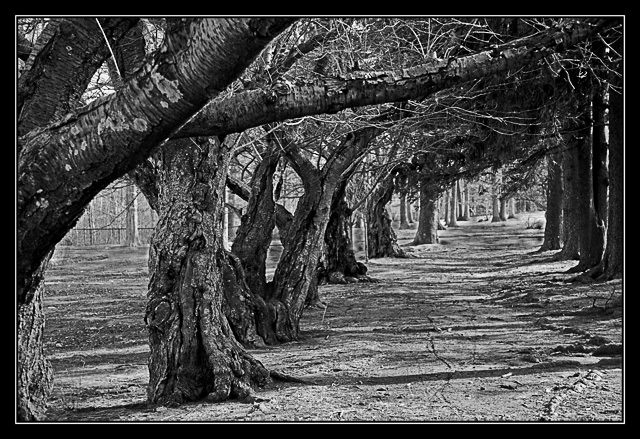 Day 30 - The Path