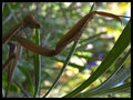 DSCN0393-107.jpg
