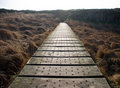 Bridge