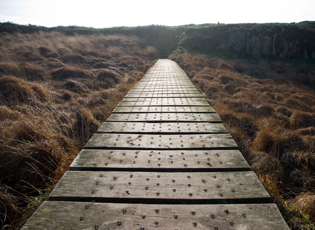 Bridge