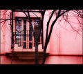 IMG_2894---Version-2.jpg
