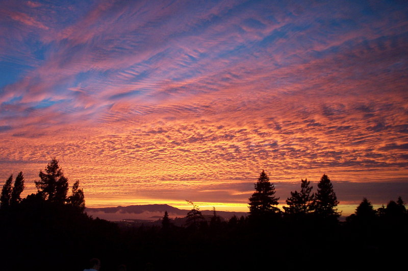 Sunset From Berkeley Rose Garden