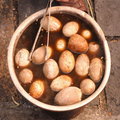 Goose Eggs.jpg