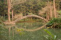 Sitou, Taiwan University Pond.jpg