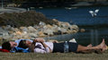 In love in the sun