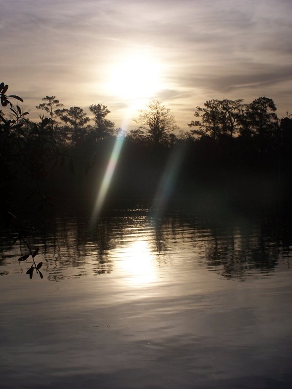 Morning sunlight, peaking through