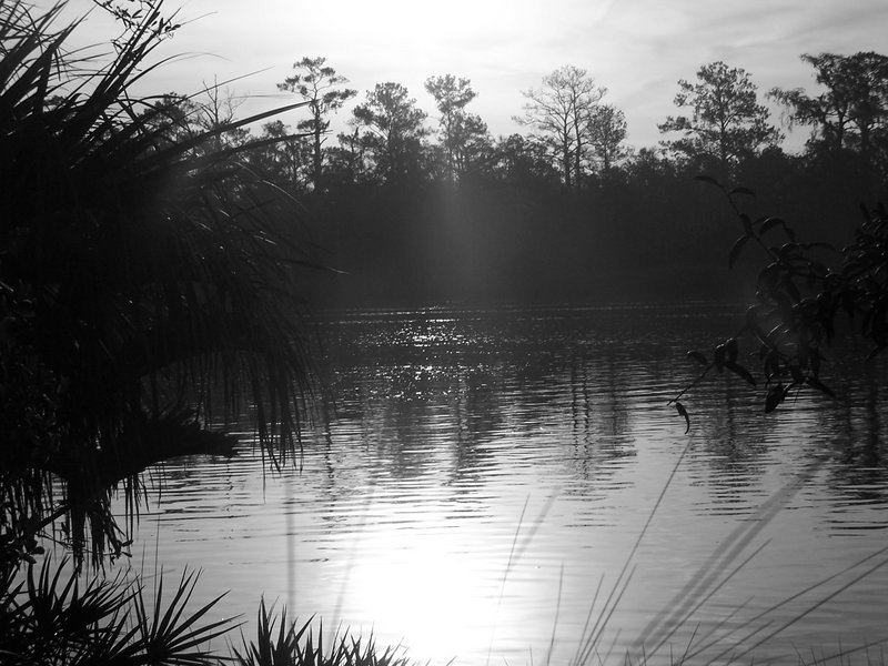 Sunlight Reflection