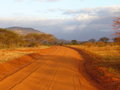 Tsavo park