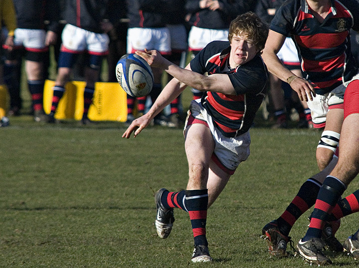 ScrumHalf.jpg