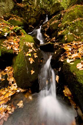 Sorrento Falls 2.jpg