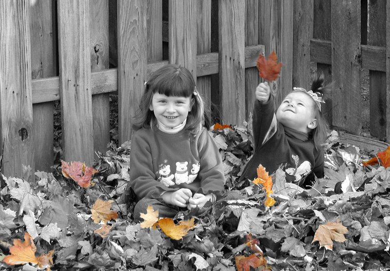 edited my leaf.jpg