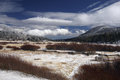 Meadow Snowfall