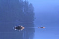 Rivers Inlet.jpg