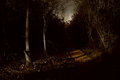 Leading-to-Nowhere.jpg