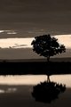 Alone.jpg