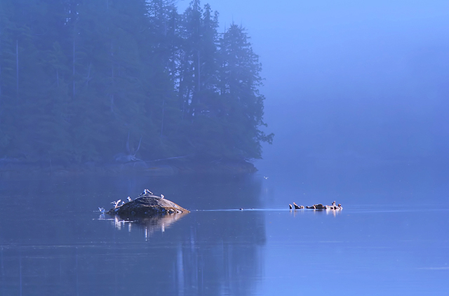 Rivers Inlet.jpg