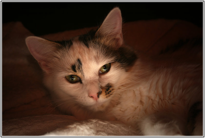 Bella