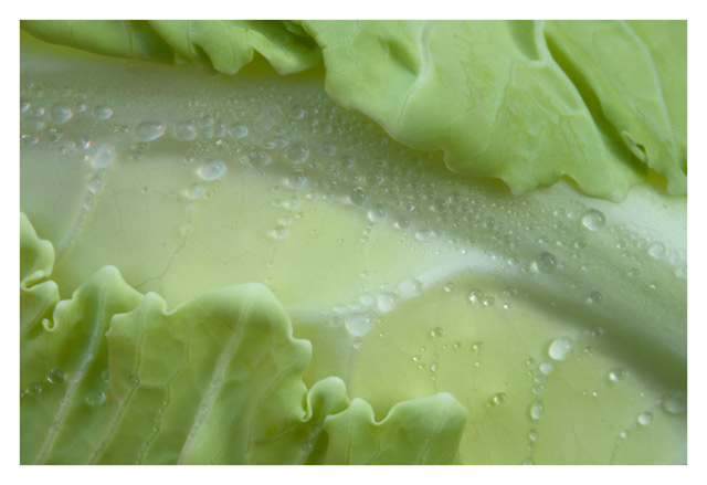 Cauliflower