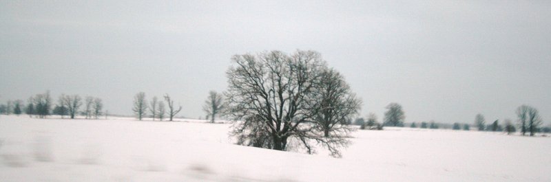 Cold and Alone