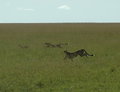 Hunter Pair