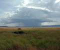 Rainstorm on the Mara