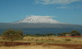 Mighty Kilimanjaro