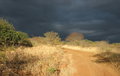 Towards the Storm