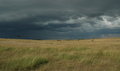 Stormy Afternoon
