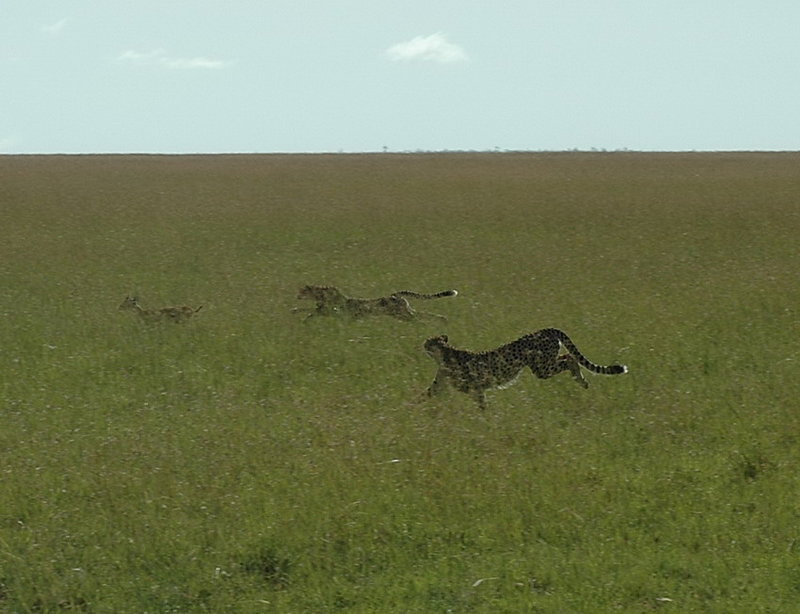 Hunter Pair