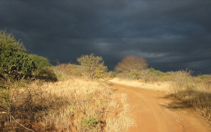 Towards the Storm