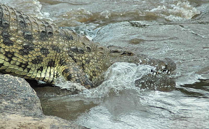 Entering the Water