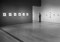 The Museum