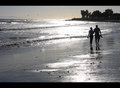 Where the Heart Strolls