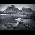 Still Water