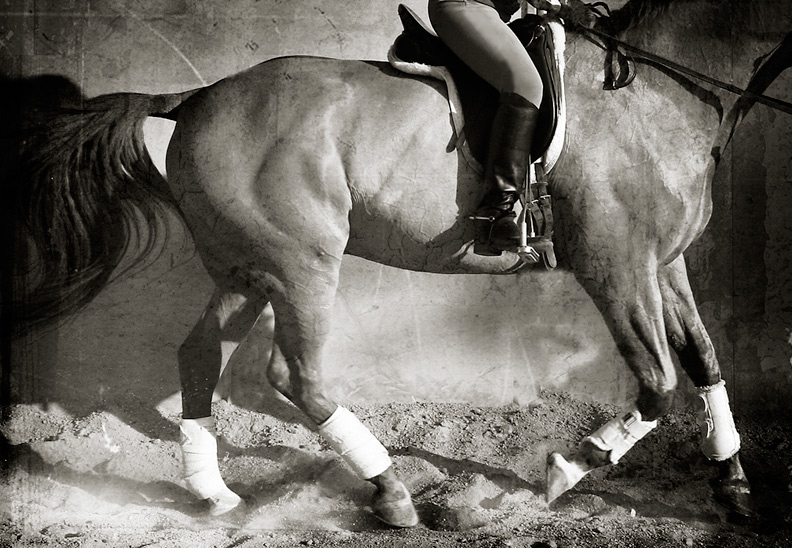 I ride like the wind