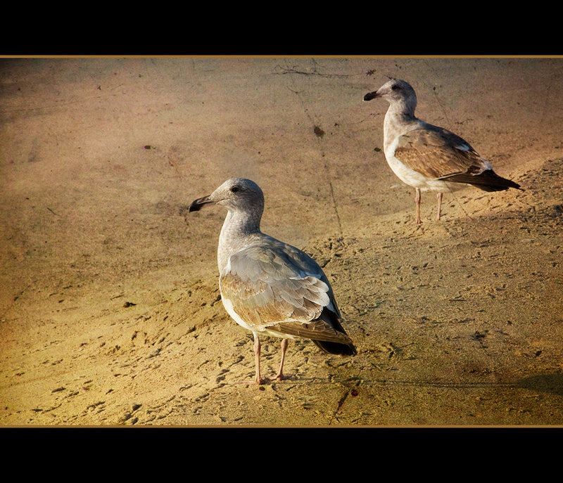 Just The Two of Us