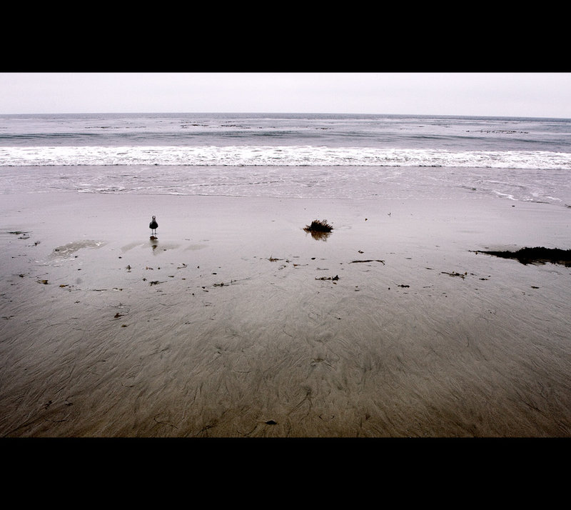 Grey Day
